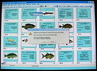  17-WTF Fish.jpg 